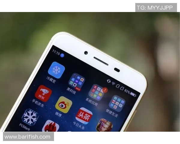 电竞比分解析王者荣耀焦点WE团队协作与战术配合深度探讨